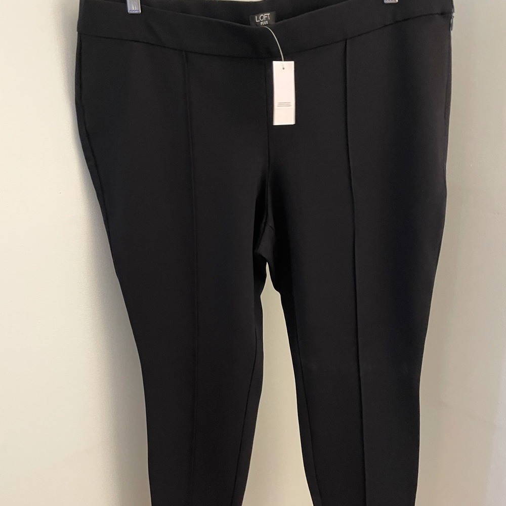 Loft Plus Pull on leggings